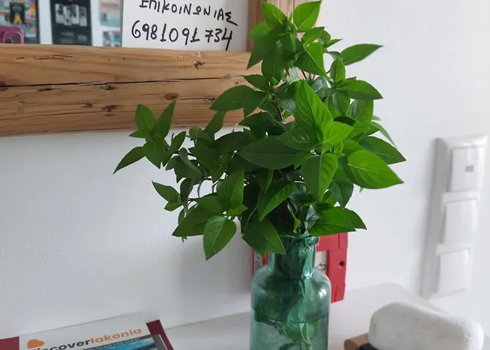 アパート Theros - Bahia エラフォニソス